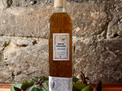 Rhum Arrangé Agastache - La menthe Coréenne - En direct de Gourmandises Créoles (Côtes d'Armor)
