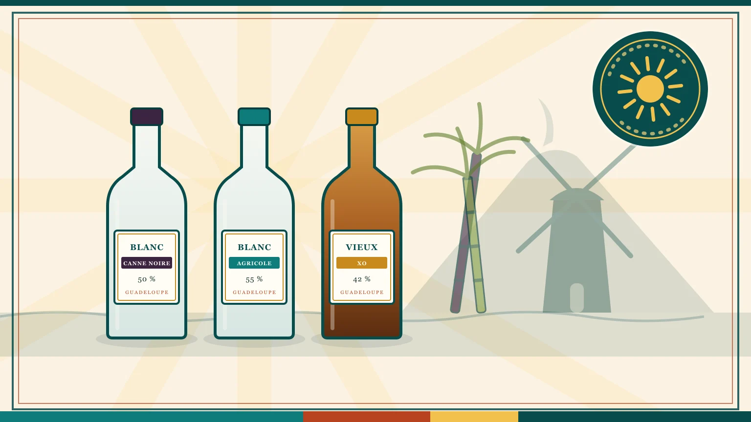 Rhum Bologne : notre avis sur la gamme (Black Cane, blancs, VSOP, XO, prix)