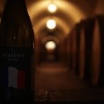 Alcool en France en 2023 : un regard sur la consommation et ses répercussions 1 Alcool en France en 2023 : un regard sur la consommation et ses répercussions