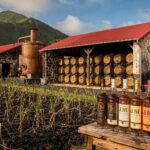 distillerie-fonds-pr-ville-histoire-terroir-volcan