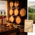 route-des-rhums-voyage-des-antilles-sugarlandia-te