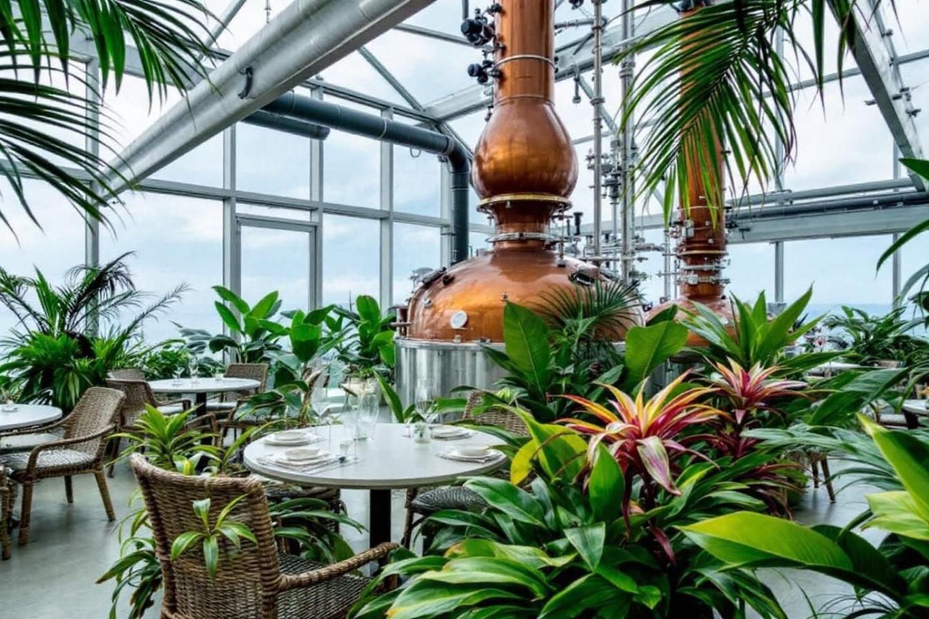 Top 5 des rhumeries en Suisse à ne pas manquer Top 5 des Rhumeries en Suisse à Ne Pas Manquer